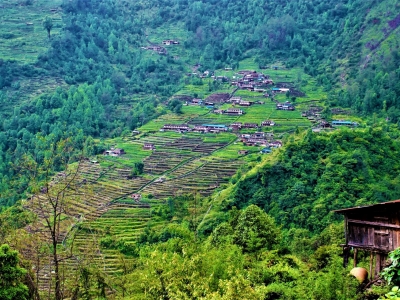 Chepang Hill Rice-Terraces